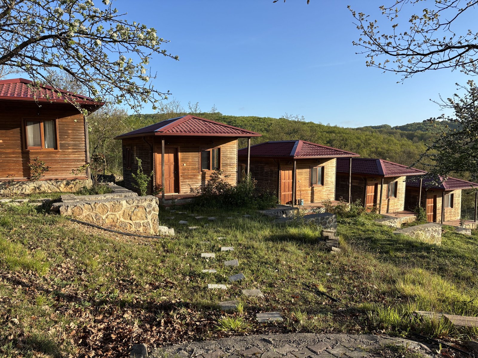 Yeşil Hayat bungalovlar genel görünüm